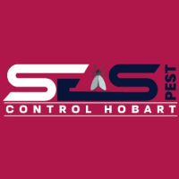 Bed Bug Control Hobart