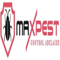 Cockroach Control Adelaide