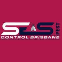 Flea Control Brisbane