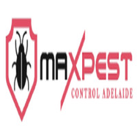 Bed Bug Removal Adelaide