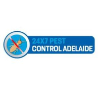 Cockroach Control Adelaide