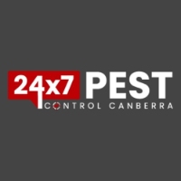 Flea Control Canberra