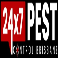 Ant Control Brisbane