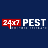 Spider Control Brisbane