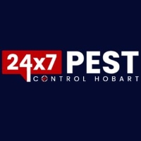 Termite Control Hobart