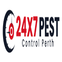 Termite Inspection Perth