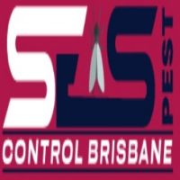 Silverfish Control Brisbane