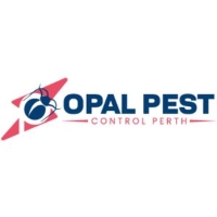 Pest Control in Perth