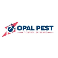 Pest Control Brisbane