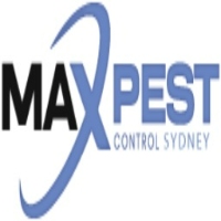 Silverfish Removal Sydney