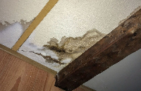 Valley Road Water Damage Experts