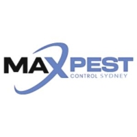 Spider Pest Control Sydney