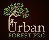 Urban Forest Pro