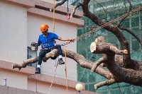 Fort Wayne Tree Pros