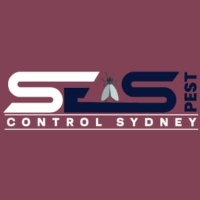 Ant Control Sydney