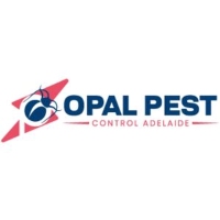 Pest Control in Adelaide