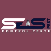 Rodent Control Perth