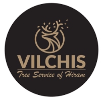 Vilchis Tree Service of Hiram