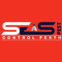 Ants Pest Control Perth