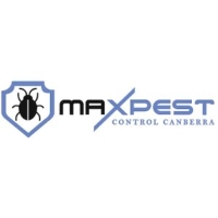 Cheap Pest Control Canberra