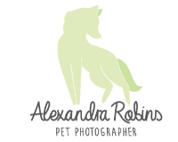 Alexandra Robins Pet Photographer