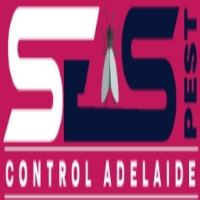 Flies Control Adelaide