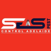 Spider Pest Control Adelaide