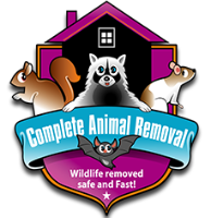 Complete Animal Removal