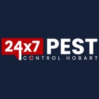 Ants Pest Control Hobart