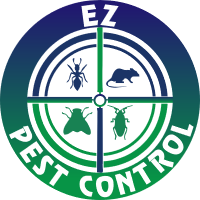 EZ Pest Control Ottawa - Wasp Nest Removal