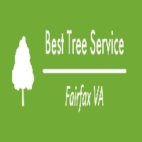 Best Tree Service Fairfax VA