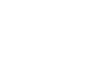 DG Services