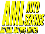 AML Auto Service