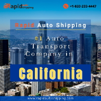 Rapid Auto Shipping