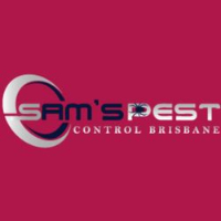 Flies Control Brisbane