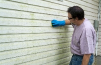 Mold Solutions of Albuquerque