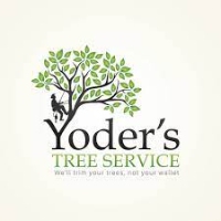 Melbourne Tree Service