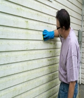 Mold Experts of Streamwood