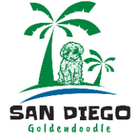 San Diego Goldendoodles