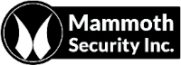 Mammoth Security Inc. Old Saybrook