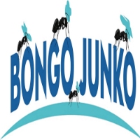 Bongo Junko - Junk Removal Conroe