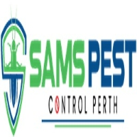 Spider Pest Control Perth