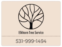 Elkhorn Tree Service