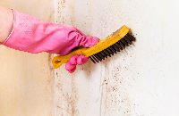 Mold Experts of Oklahoma City