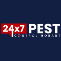 Wasp Removal Service Hobart