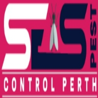 Flies Pest Control Perth