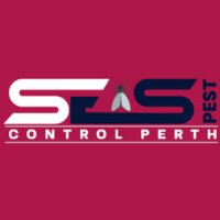 Spider Extermination Perth