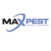 Borer Control Melbourne