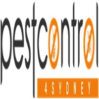 Termite Treatment Sydney