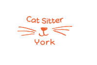 Cat sitter York